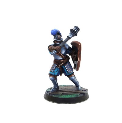 Guardians of the Coast (Priory of Hope) [Ready to Play] – Tornscape - фото 10201