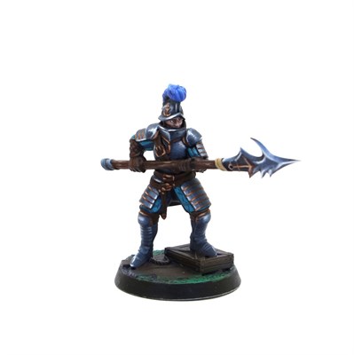 Guardians of the Coast (Priory of Hope) [Ready to Play] – Tornscape - фото 10202