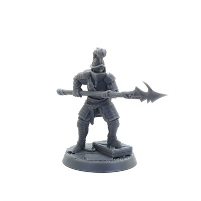 Guardians of the Coast (Priory of Hope) [Ready to Play] – Tornscape - фото 10205