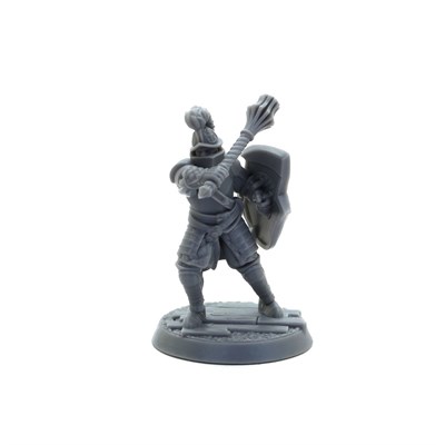 Guardians of the Coast (Priory of Hope) [Ready to Play] – Tornscape - фото 10208