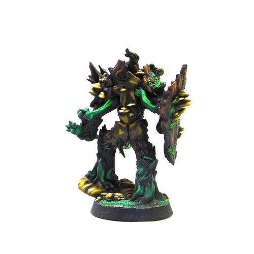 Sylds of Blackthorn - Tornscape - фото 10298