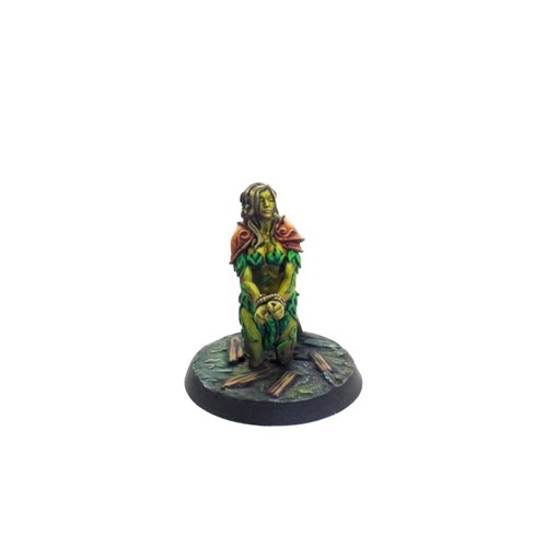 "Prisoners of Westorn" Miniatures Set - photo 18855