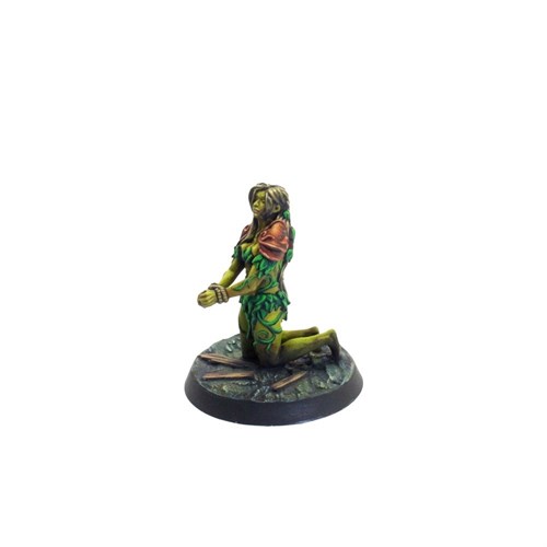 "Prisoners of Westorn" Miniatures Set - photo 18856