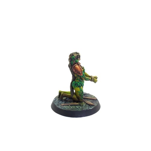 "Prisoners of Westorn" Miniatures Set - photo 18857
