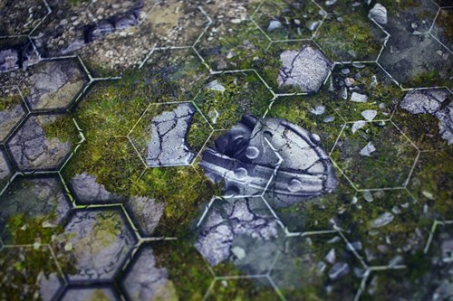 Playing field "Athorn Gorges/Bryfield Fields" Tornscape - photo 19021