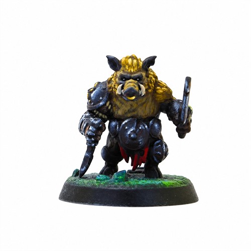 Battle Squad "Heralds of Revelry" (Brumgar Horde) Tornscape - photo 19521