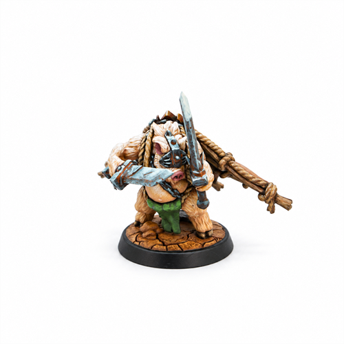 Zurbag Raiders (Brumgar's Horde) — Tornscape - photo 25046