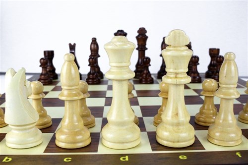 Gift Chess Set Classic 45×45 cm - photo 28845