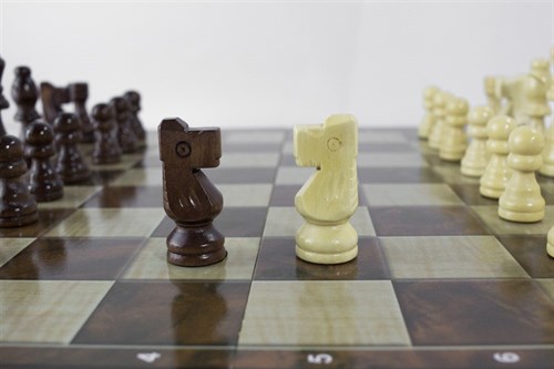 Set "Chess Set+Draughts+Backgammon" 39×39 cm / Board Game - photo 28862