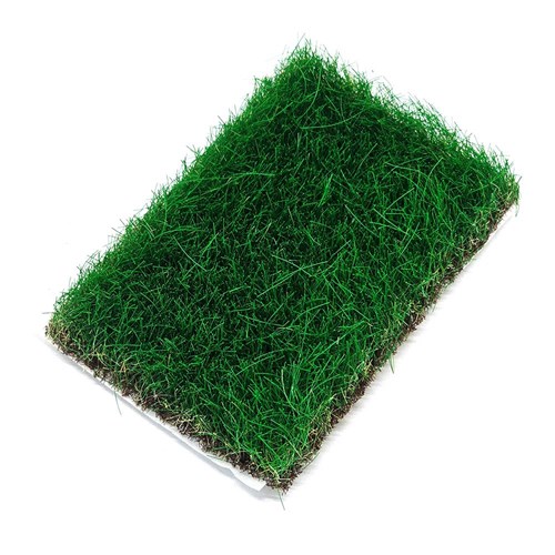 Scenic Grass Dark Green 10 mm - photo 31174