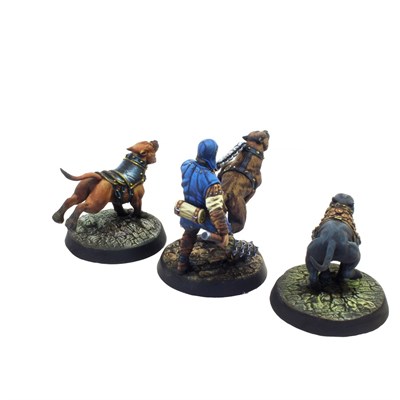 ​​​​​​​Kennel Set (Angeln) – Tornscape - фото 7920