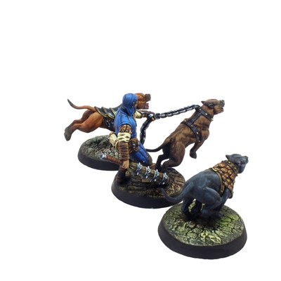 ​​​​​​​Kennel Set (Angeln) – Tornscape - фото 7921