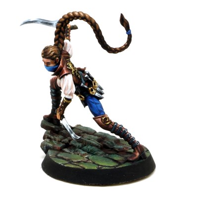 ​​​​​​​Rogue of Shadowstep (Angeln) – Tornscape - фото 7940