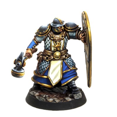 Honorable Shieldbearer (Angeln) – Tornscape - фото 7960