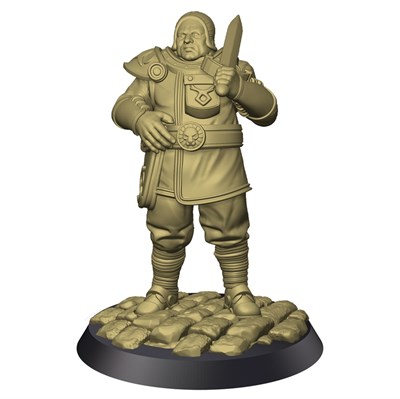 Militia Set (Angeln) – Tornscape - фото 9528