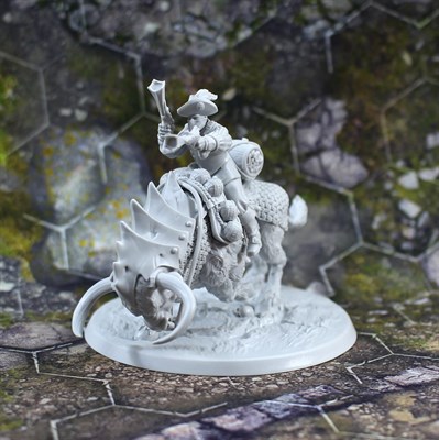 Tolero's Raider / Possessed Rider (Priory of Hope / Castilla) – Tornscape - фото 9765