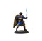 Swordsman (Kingdom of Engeln) Tornscape - photo 18520