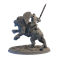 Knight of the Lion Cavalry (Angeln) Tornscape - photo 18589