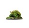Beast of the Undergrowth (Keld) Tornscape - photo 18817
