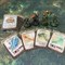 Tornscape Equipment Card Deck - photo 19235