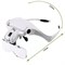 Illuminated Magnifying Glasses OW - photo 22054