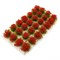 Scenic Flower Tufts Red - 28pcs 10 mm - photo 23588