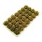 Scenic Flower Tufts Beige - 28pcs 10 mm - photo 23630