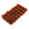 Scenic Flower Tufts Red - 28pcs 10 mm - photo 23636