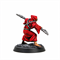 Castilla Monks (Castilla Theocracy) — Tornscape - photo 25003
