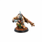 Zurbag Raiders (Brumgar's Horde) — Tornscape - photo 25047
