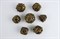 7-Piece Metal RPG Dice Set — Bronze Basilisk - photo 29430