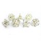 7-Piece Metal RPG Dice Set — Silver Skull - photo 29433
