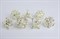 7-Piece Metal RPG Dice Set — Silver Skull - photo 29434