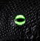 Dice Bag Demon's Eye (Uranium) - photo 30169
