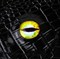 Dice Bag Demon's Eye (Solar) - photo 30178