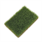 Scenic Grass Early Green Tall - 8×12 mm - photo 31093