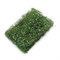 Scenic Grass Vine Green - photo 31120