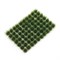 Scenic Grass Dark Green- 70pcs 3×8 mm - photo 31144
