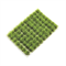 Scenic Grass Green- 70pcs 3×8 mm - photo 31153
