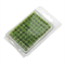 Scenic Grass Green- 70pcs 3×8 mm - photo 31154