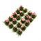 Scenic Flower Tufts Peonies 20 pcs - photo 31156
