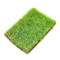 Scenic Grass Light Green Tall - 8×12 mm - photo 31189