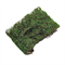 Scenic Grass Vine Dark Green - photo 31213