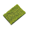 Scenic Grass Green c Dark - Yellow Bushes - photo 31222