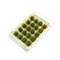 Scenic Grass Green 20 pcs. - photo 31298