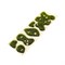 Scenic Grass for Dioramas Spring 6 Clumps with Large - photo 31316